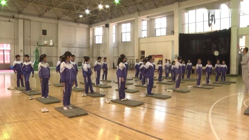 �����������ʿν�ѧ��Ƶ-���꼶����