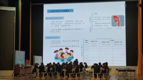 《食物的旅行》名师观摩课教学视频-苏教版三年级科学上册 – 三年级科学优质课公开课示范观摩研讨课视频