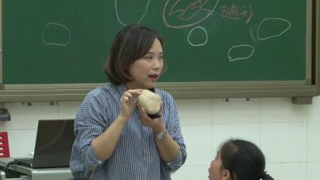 ���������꼶�����²ᡶ��ʯ�������͡����ʿν�ѧ��Ƶ