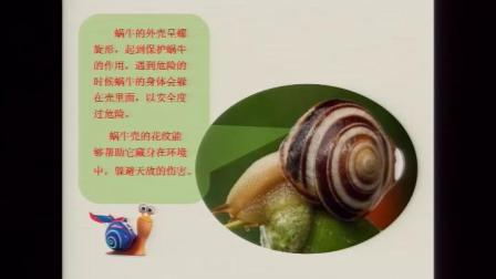 湘美版二年级美术下册《小蜗牛慢慢爬》教研公开课视频-执教张老师