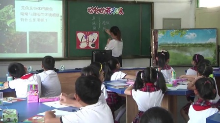 �˽̰����꼶�����²ᡶ����Ļ����ѡ����ʿν�ѧ��Ƶ-ִ�̳���ʦ