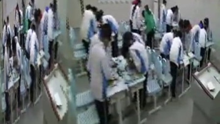 ���꼶����۲����ӽṹ�����ʿν�ѧ��Ƶ-ִ������ʦ