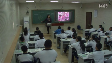 ���꼶����������������ʿν�ѧ��Ƶ-ִ������ʦ