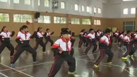 《武术操二》优秀教学视频-浙教版五年级体育-执教李老师