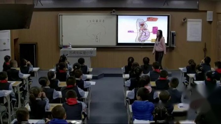 《生命最宝贵》优秀公开课视频-部编版三年级道德与法治-执教梁老师 – 三年级政治优质课公开课示范观摩研讨课视频