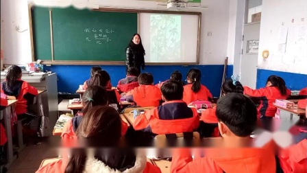 《假如我变小》优秀公开课教学视频-冀美版三年级美术上册 – 三年级美术优质课公开课示范观摩研讨课视频