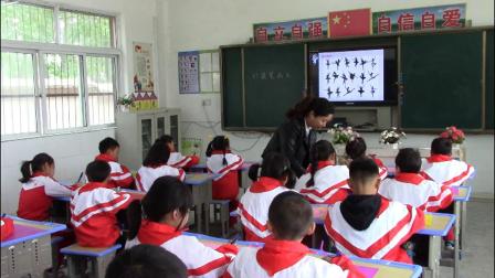 ������һ�꼶��������ʻ��ˡ������ѧ��Ƶ-ִ������ʦ