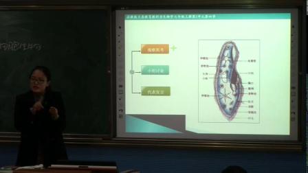 苏教版七年级生物《单细胞生物》优质课教学视频-执教李老师