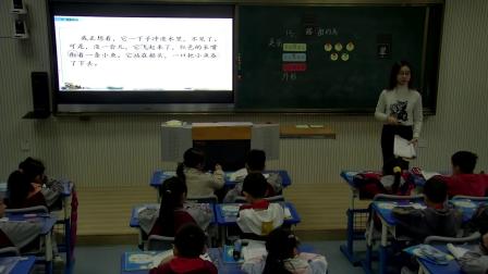 ����ɫ�Ĳݵء��������ʵ¼-��������꼶�����ϲ�-ִ�̷���ʦ