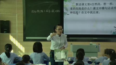 《麻雀》第二课时公开课视频-统编版四年级语文上册-执教李老师
