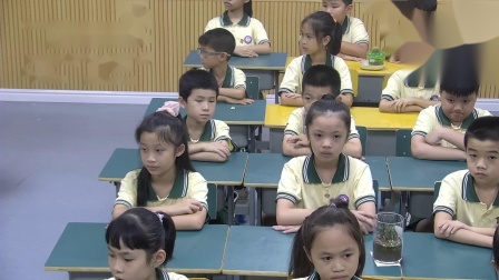 《介绍一种自己喜欢的植物》优秀教学视频-部编版三年级语文 – 三年级语文优质课公开课示范观摩研讨课视频