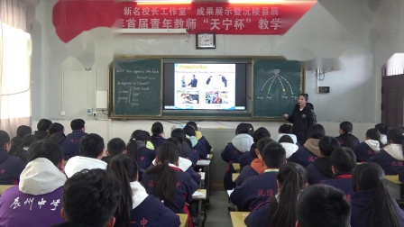 《You are supposed to shark hands》优质课视频-人教版九年级英语上册-执教杨老师 – 九年级英语优质课公开课示范观摩研讨课视频