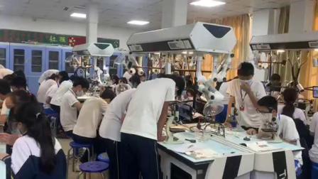 《真菌》优质课教学视频-人教版八年级生物上册 – 八年级生物优质课公开课示范观摩研讨课视频