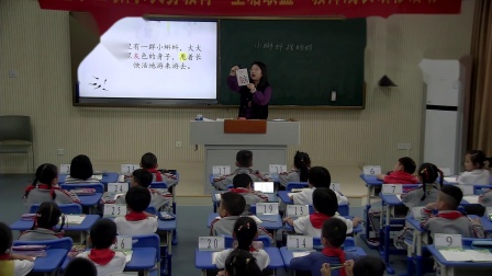 《小蝌蚪找妈妈》优秀课堂实录-部编版二年级语文上册 – 二年级语文优质课公开课示范观摩研讨课视频