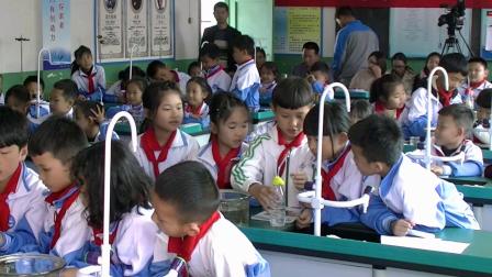 《空气占据空间吗》比赛课教学视频-科教版三年级科学上册-执教陈老师 – 三年级科学优质课公开课示范观摩研讨课视频