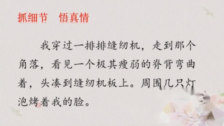 《慈母情深》优秀公开课视频-部编版五年级语文上册-执教徐老师 – 五年级语文优质课公开课示范观摩研讨课视频