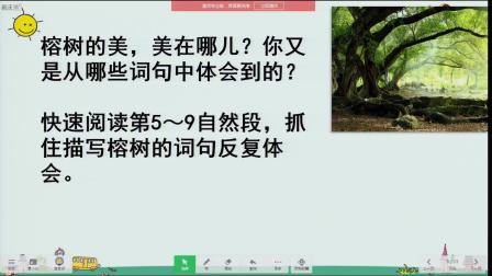 《鸟的天堂》优秀公开课视频-部编版三年级语文上册 – 三年级语文优质课公开课示范观摩研讨课视频