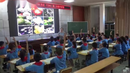 《秋天的雨》第一课时交流课教学视频-部编版三年级语文上册 – 三年级语文优质课公开课示范观摩研讨课视频