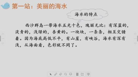 《富饶的西沙群岛》优秀公开课视频-部编版三年级语文上册-执教王老师 – 三年级语文优质课公开课示范观摩研讨课视频