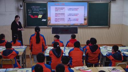 《三角形的面积》优秀教学视频-西师版三年级数学-执教彭老师 – 三年级数学优质课公开课示范观摩研讨课视频