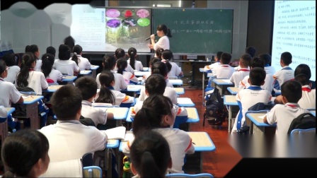 《记金华的双龙洞》研究课教学视频-部编版四年级语文下册-教学能手黄老师 – 四年级语文优质课公开课示范观摩研讨课视频