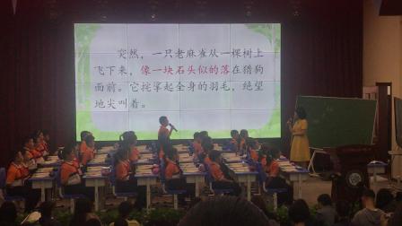 《麻雀》第二课时研讨课教学视频-部编版四年级语文上册 – 四年级语文优质课公开课示范观摩研讨课视频