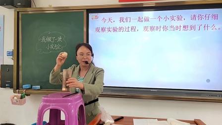 《我做了一项小实验》优秀教学视频-部编版三年级语文下册 – 三年级语文优质课公开课示范观摩研讨课视频