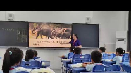 《大象的耳朵》优秀课堂实录-部编版二年级语文下册-执教黄老师 – 二年级语文优质课公开课示范观摩研讨课视频