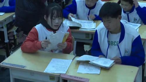《Dreams》优秀教学视频-北师大版八年级英语上册-执教孙老师