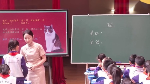 《猫》部编版语文四年级公开课教学课例-执教老师：刘恋 – 四年级语文优质课公开课示范观摩研讨课视频