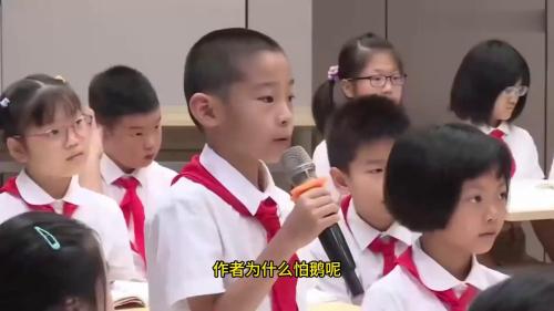 ���꼶�ϲᡶţ�Ͷ졷�����ι�����-�¿α�-���������