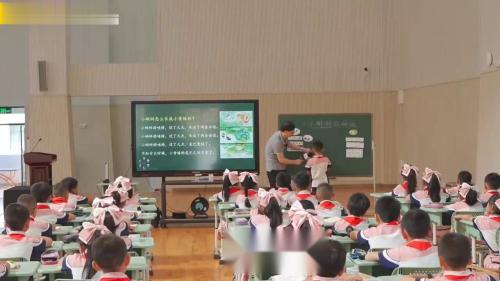 《小蝌蚪找妈妈》部编版小学语文二年级上册名师公开课视频-特级教师薛法根 – 语文名师课堂语文优质课公开课示范观摩研讨课视频