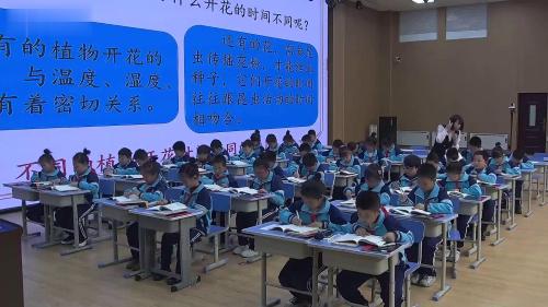 《花钟》部编版三下语文新课标研讨课优课视频-李彩萍 – 三年级语文优质课公开课示范观摩研讨课视频