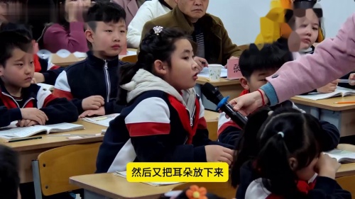 二年级语文《大象的耳朵》部编版语文公开课公开课 – 二年级语文优质课公开课示范观摩研讨课视频