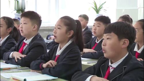 《跳水》获奖课教学视频-部编版五年级语文下册 – 语文获奖视频语文优质课公开课示范观摩研讨课视频