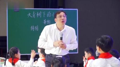 《大青树下的小学》部编版三上语文任务群研讨课视频 – 三年级语文优质课公开课示范观摩研讨课视频