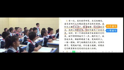 ��ţ�Ͷ� 2��������������¹�������Ƶ