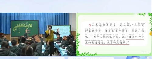 ����Ҫ���Ǻ�«��������������˼�����Ķ����ֿ���Ƶ