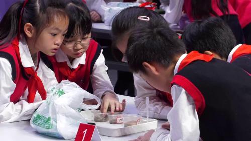 ���Ƚϲ�ͬ���������̿ư����꼶�²��ѧ������չʾ�-�½�����