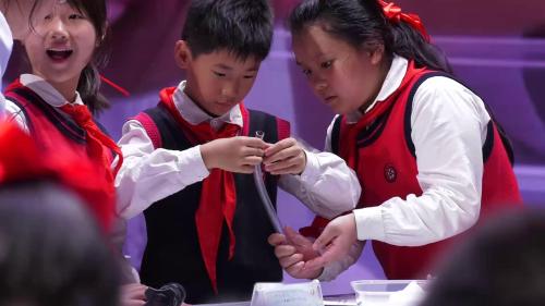 ��ʳ��������������С�Сѧ��ѧ�̿ư����꼶�ϲṫ����չʾ�-����