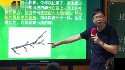 《爬山虎的脚》部编版语文四上-全国名师公开课特级教师-薛法根 – 语文名师课堂语文优质课公开课示范观摩研讨课视频