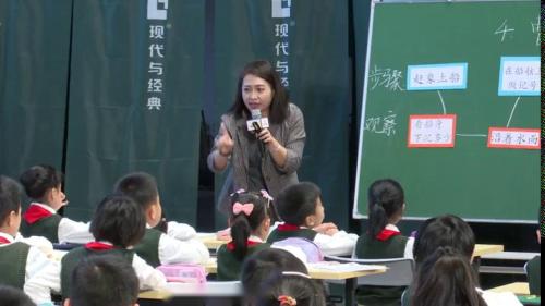 《曹冲称象》部编版语文二上名师观摩课视频-郑梨花 – 语文名师课堂语文优质课公开课示范观摩研讨课视频