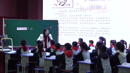 ���׶졷2025�������������-��ʵ�¿α꣬�о��¿��ã�ʵ����̽����Ħ����Ƶ