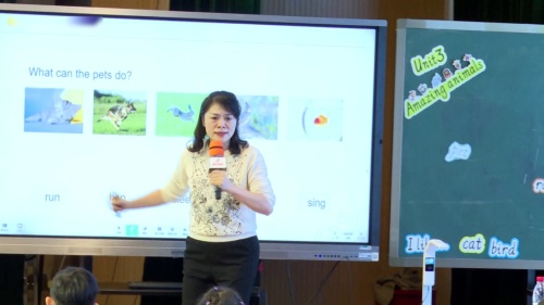 ��Unit 3 Amazing Animals A let��s learn�����˽�����Ӣ���Ħ��������Ƶ