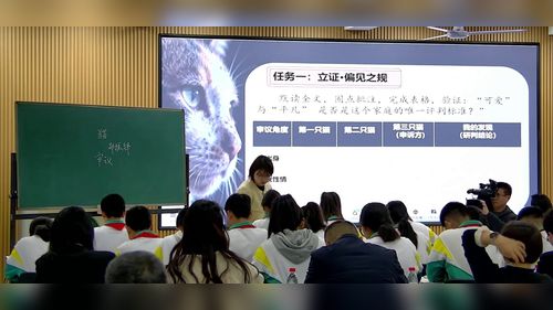 ��è���������������չʾ����Ƶ