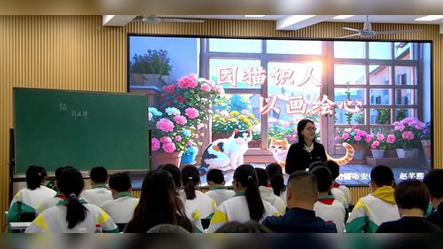 ��è���������������չʾ����Ƶ