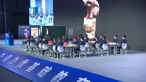 ���������ܡ�Сѧ��ѧչʾ����Ƶ