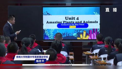 ��Unit 4 Amazing Plants and Animals Section B���˽̰����Ӣ��2025�����¿α������½�ѧ��ʽ�ı�﹫������Ƶ