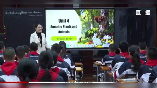 ��Unit 4 Amazing Plants and Animals Project ���˽̰����Ӣ��2025�����¿α������½�ѧ��ʽ�ı�﹫������Ƶ
