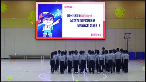 ����Ծ��ƽ����Ϸ��Сѧ���꼶2025��ʮ����Сѧ�����뽡����ѧչʾ��������Ƶ